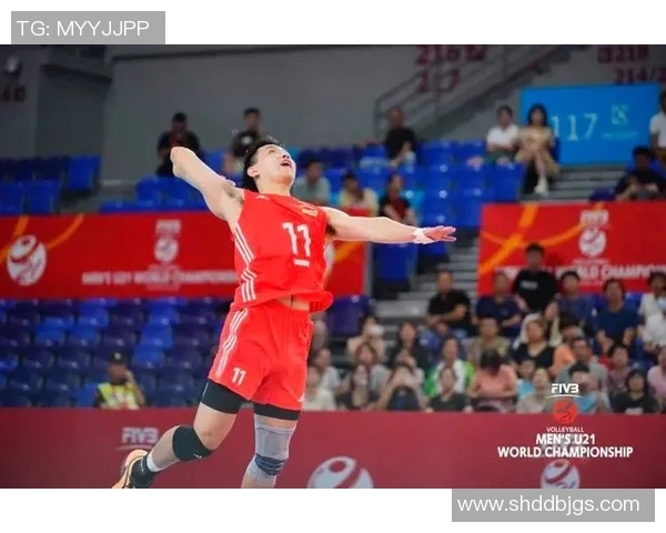 武汉排球队在全国排球意识排行榜中荣登第九名展现出强劲实力与潜力